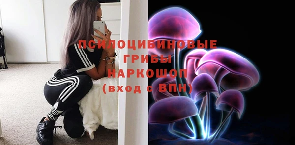 стаф Белоозёрский