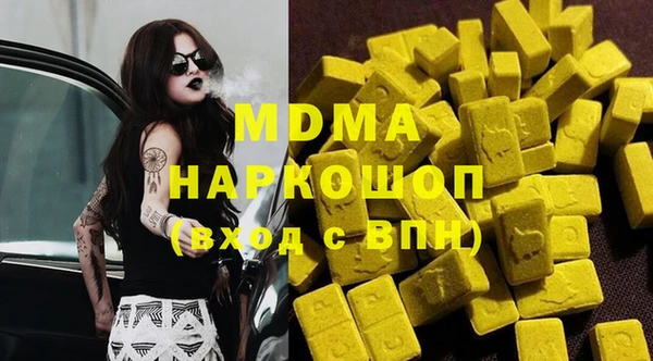индика Няндома