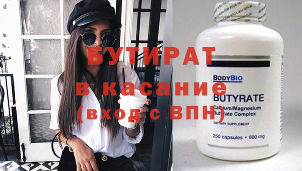 индика Няндома